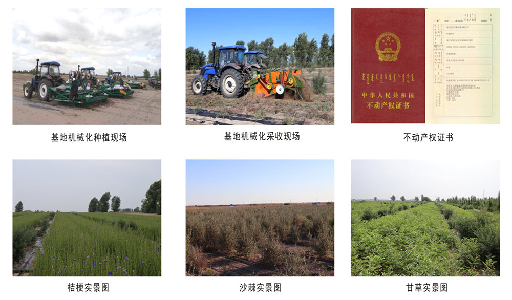 1626252824531609.jpg 1626252824531609.jpg