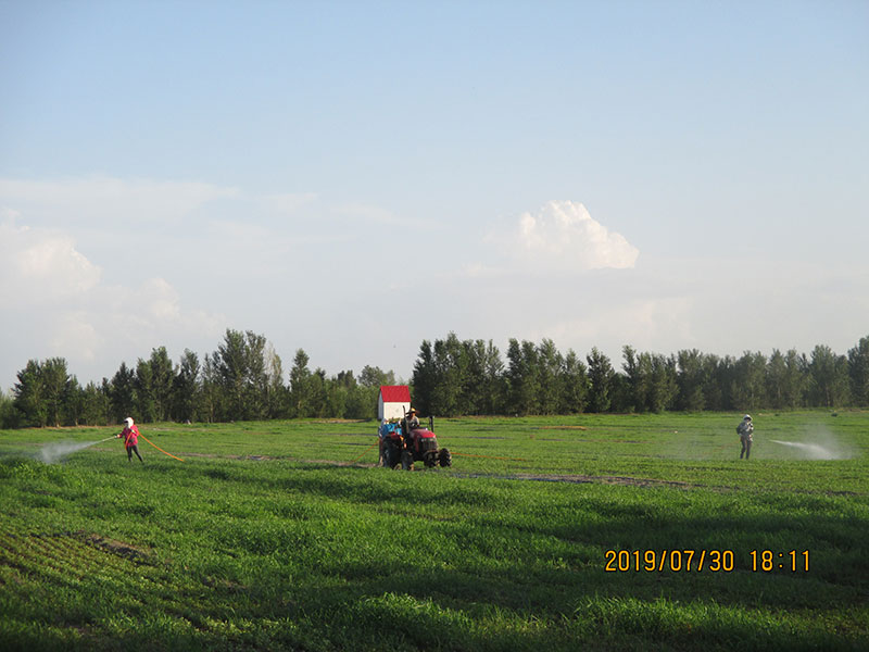 1626252910812070.jpg 1626252910812070.jpg