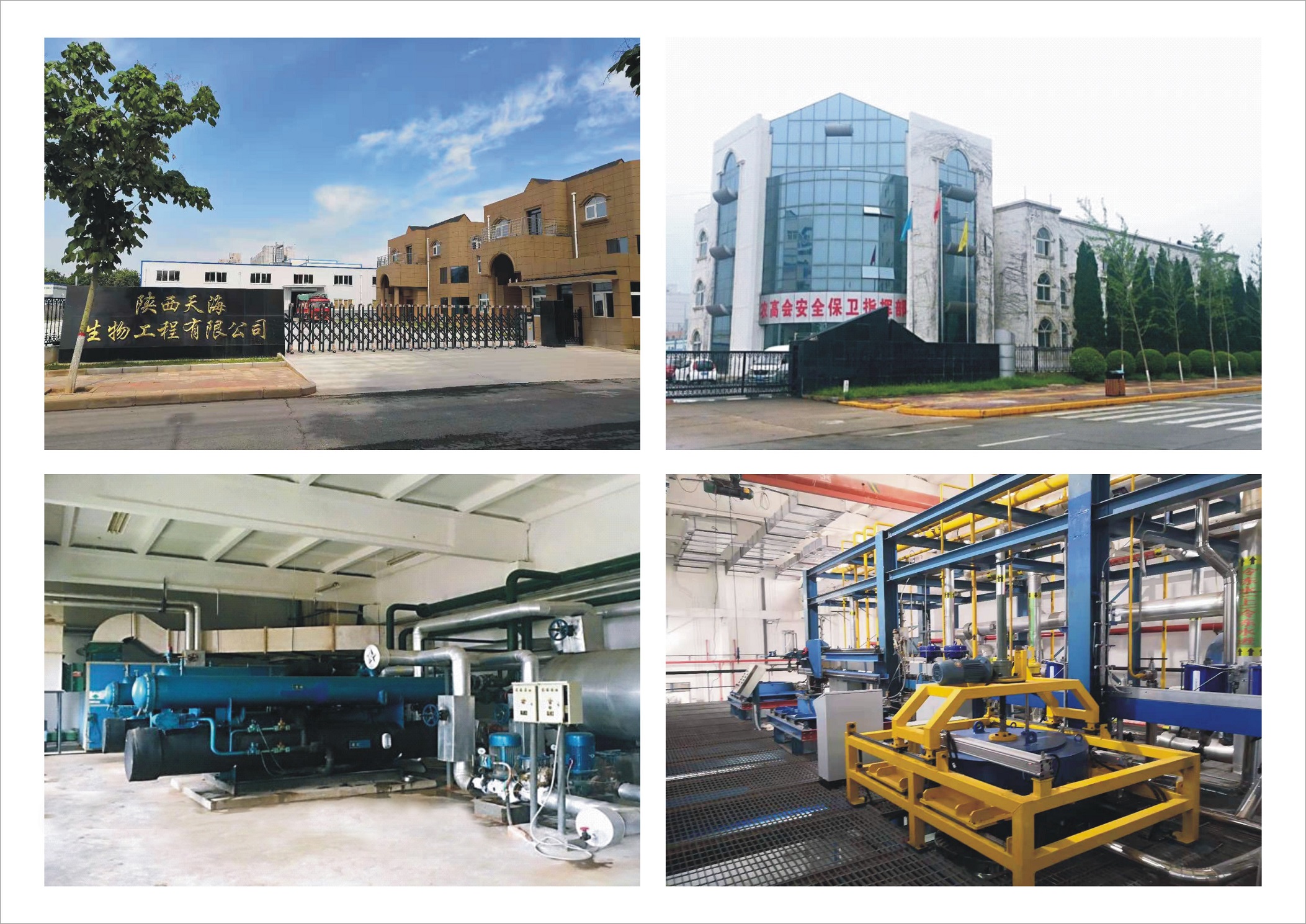 1630545380694952.jpg 1630545380694952.jpg