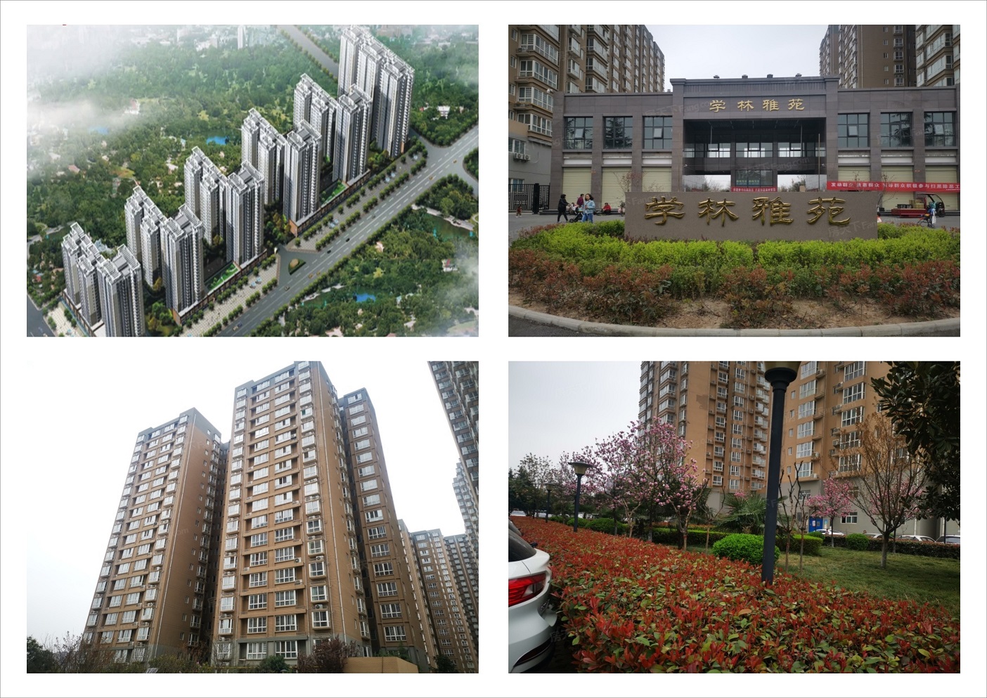 1630897660420435.jpg 1630897660420435.jpg