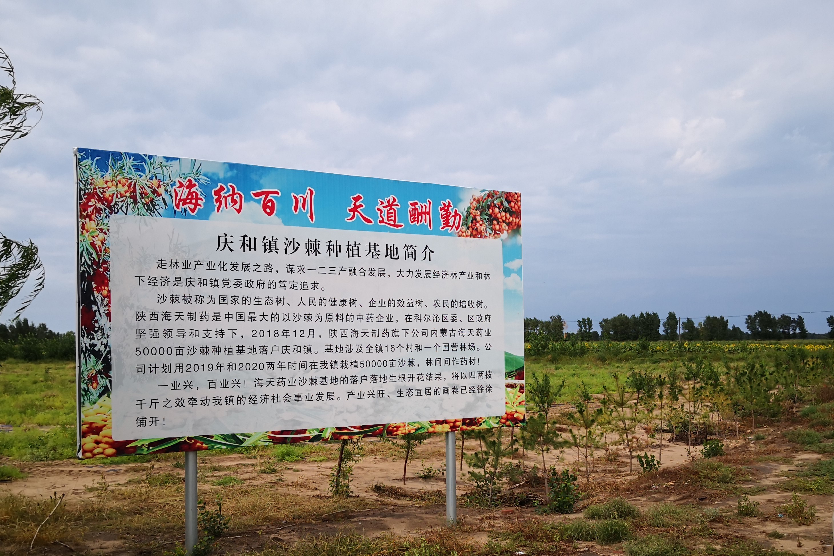 1631072362277975.jpg IMG_20190825_150043.jpg