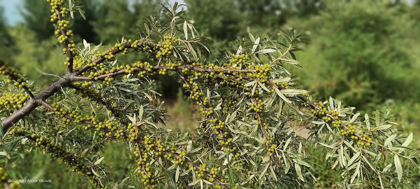 1711008373988170.jpg 微信圖片_20240321154710.jpg