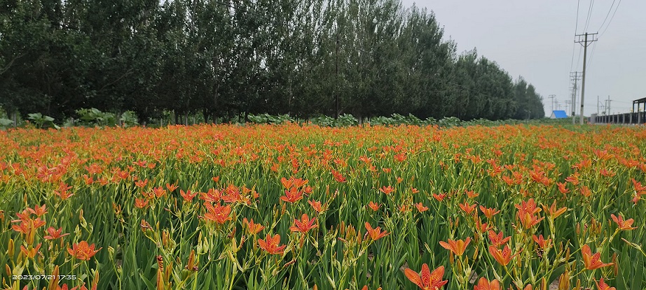 1711008882439111.jpg 微信圖片_20240321154559.jpg