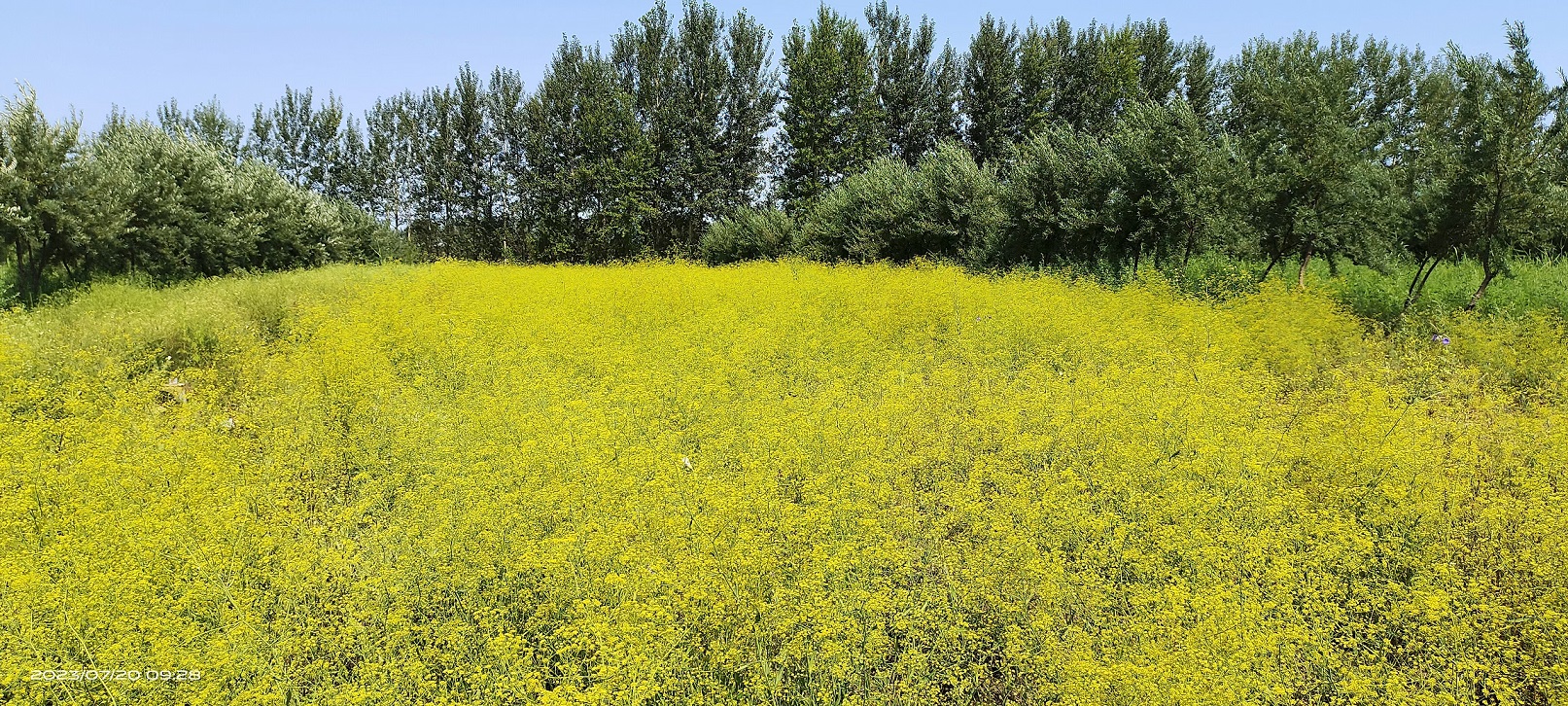 1711008902662822.jpg 微信圖片_20240321154653.jpg