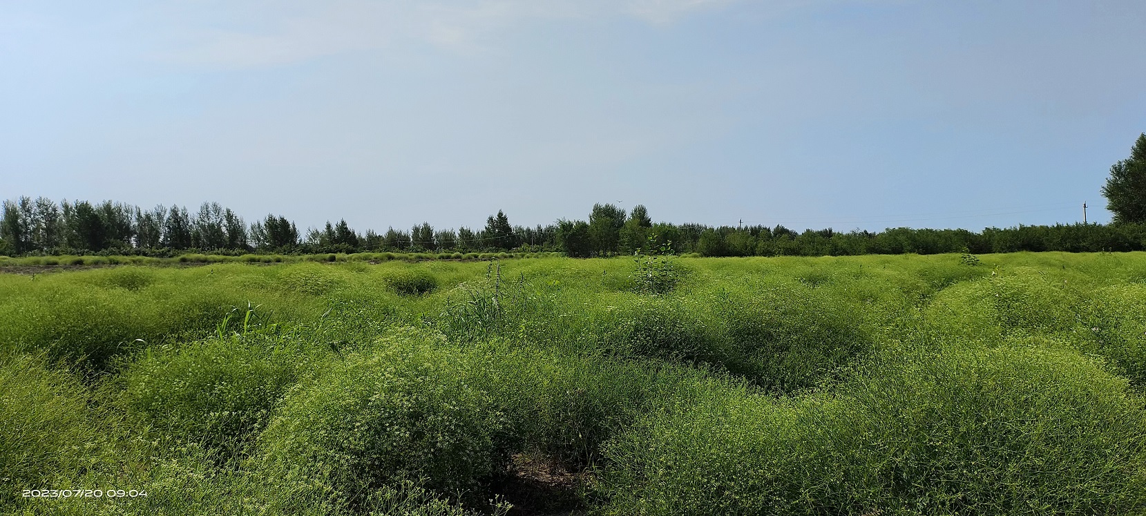 1711008937487949.jpg 微信圖片_20240321154655.jpg