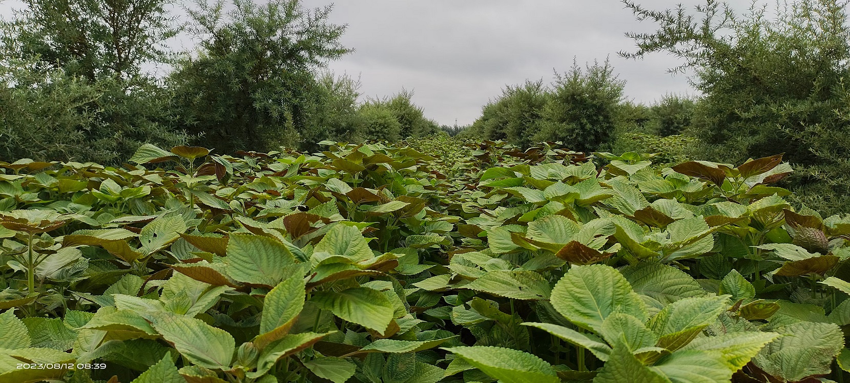 1711008978518703.jpg 微信圖片_20240321154658.jpg