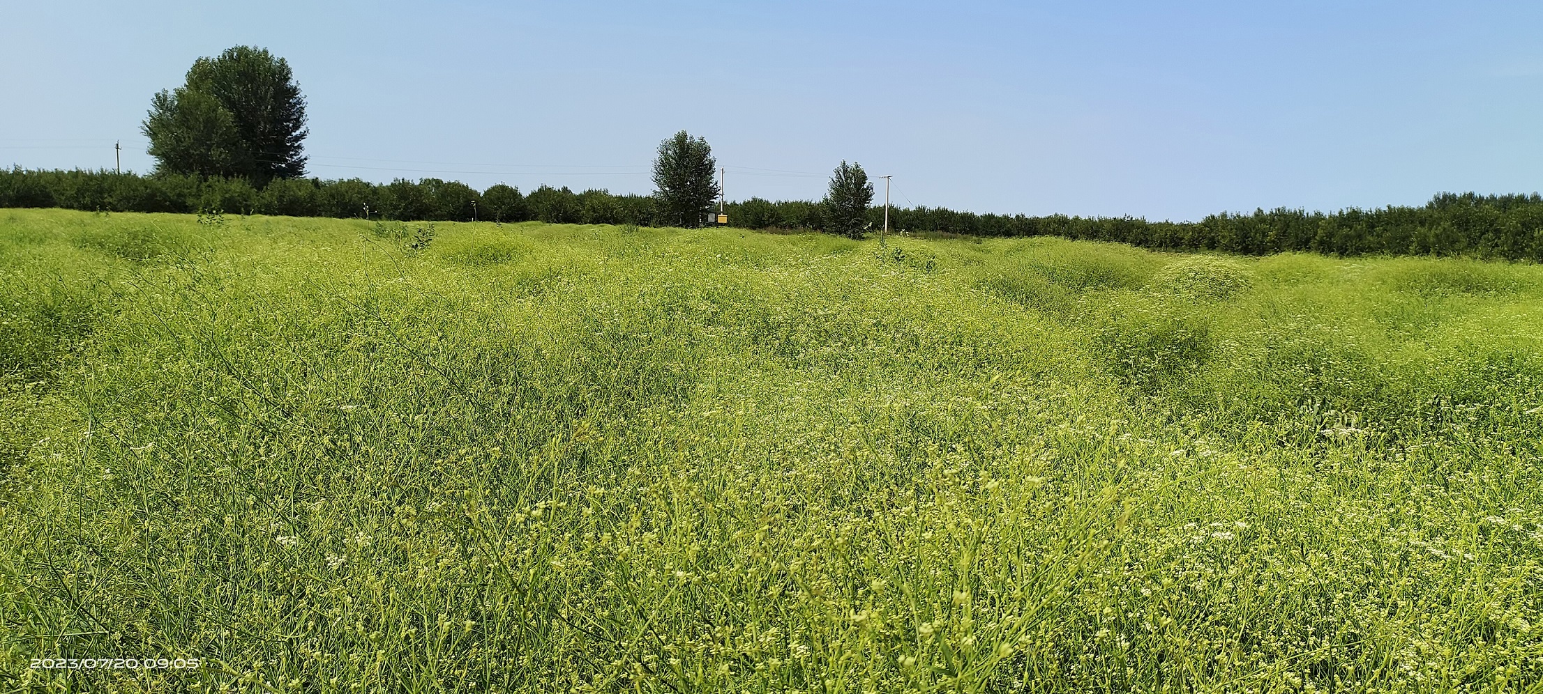 1711009027968515.jpg 微信圖片_20240321154558.jpg