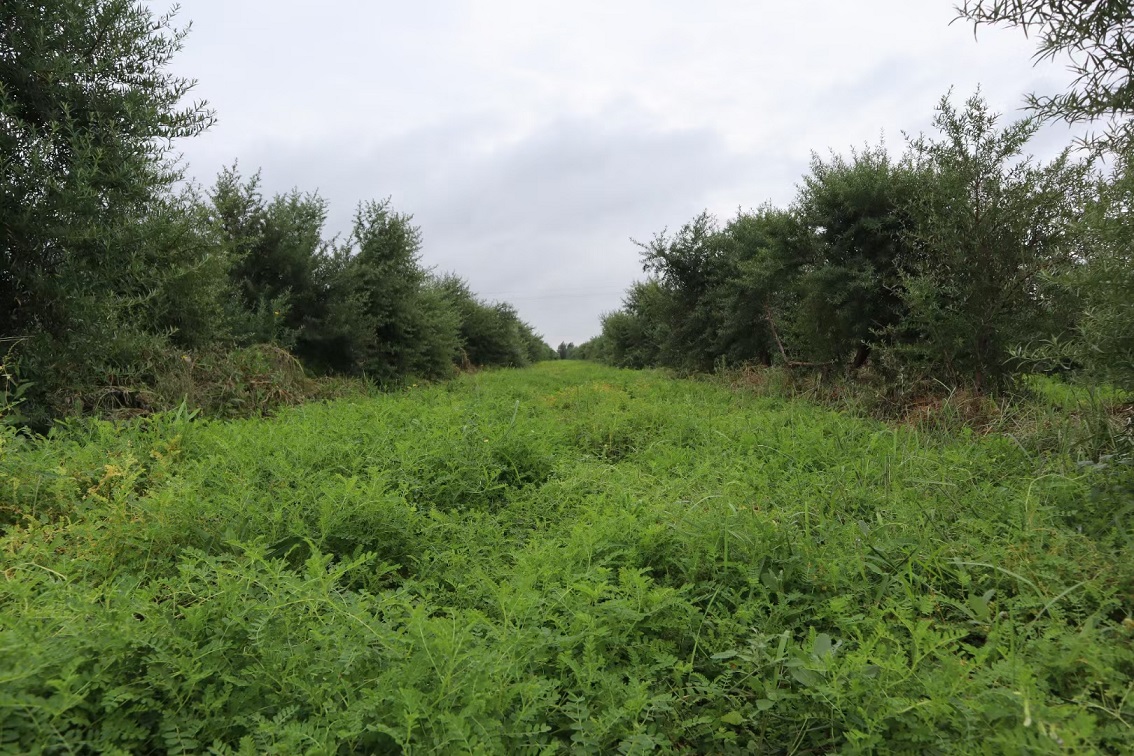 1711009069772462.jpg 微信圖片_20240321154703.jpg