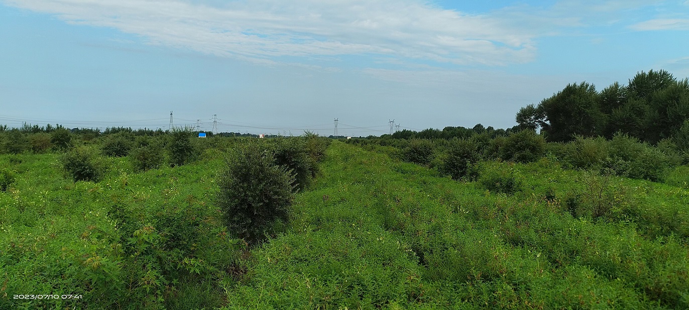 1711009099751498.jpg 微信圖片_20240321154702.jpg