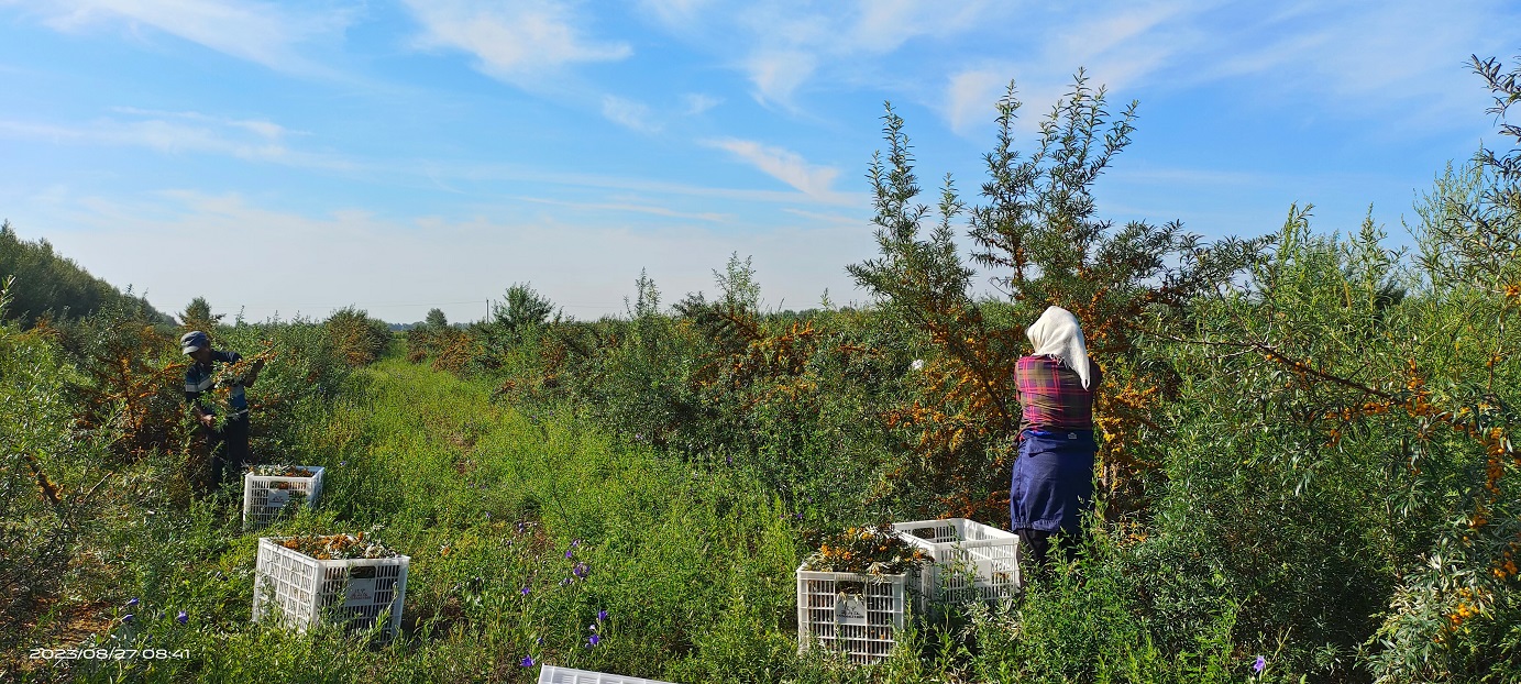 1711009180845191.jpg 微信圖片_20240321154552.jpg