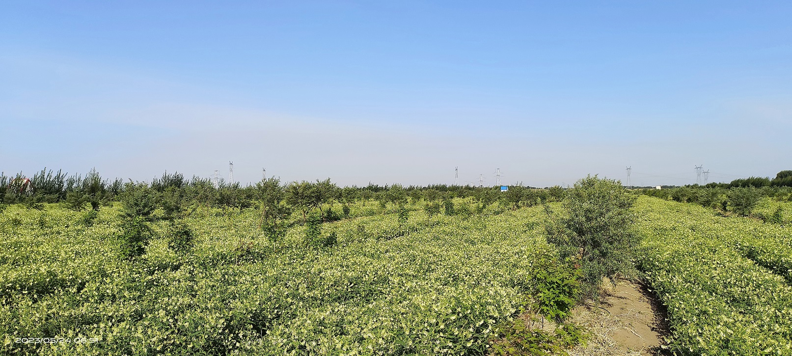 1711009496844765.jpg 微信圖片_20240321154707.jpg