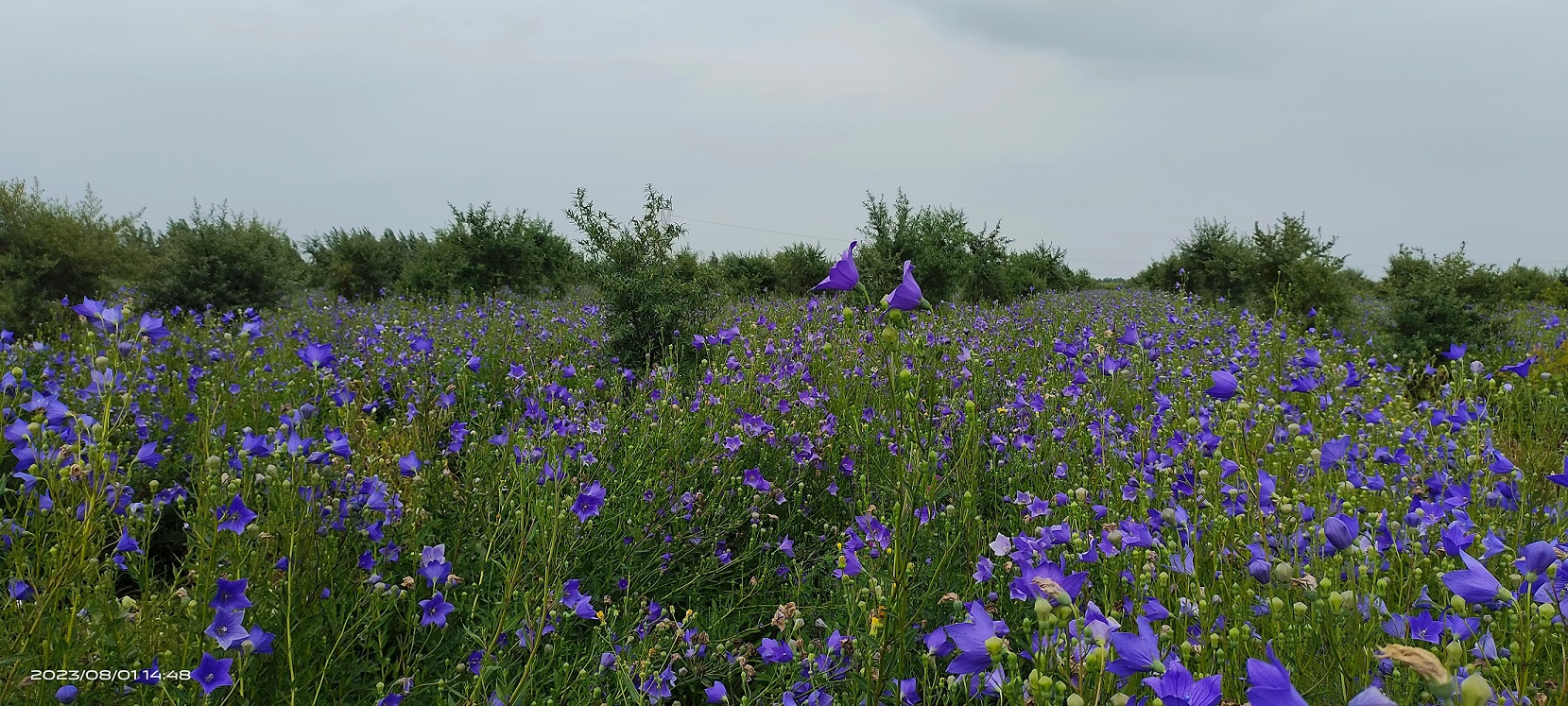 1711009536289737.jpg 微信圖片_20240321154659.jpg