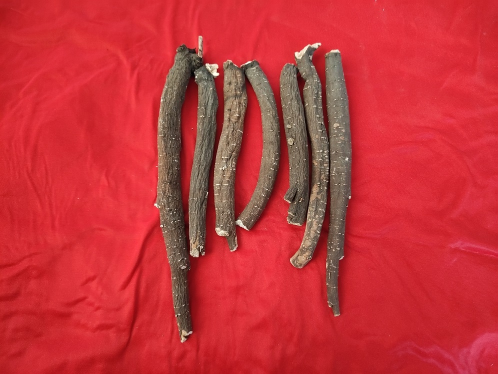 1711012321187906.jpg 芍藥2兆.jpg