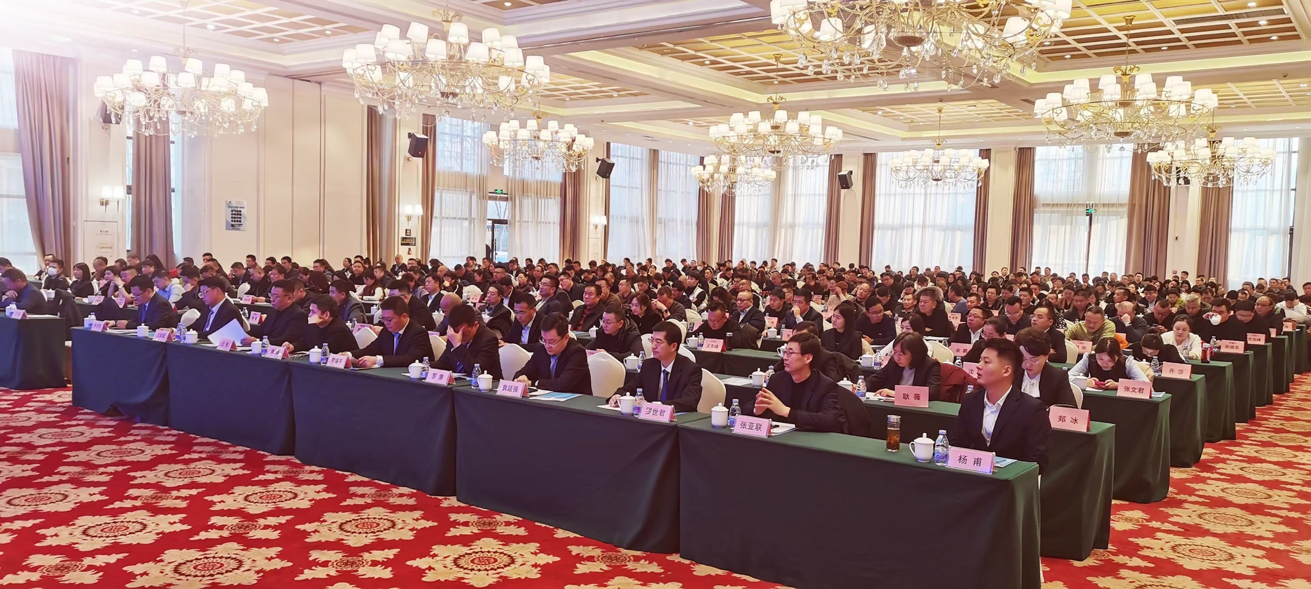 1739263816820528.jpg 1739263816820528.jpg